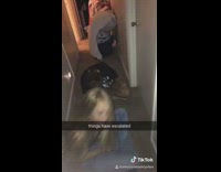 Two girls bang on friends door haley 