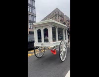 Woman films horse carriage on the road