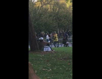 Man yellow striped jacket runs around park and shoots Nerf gun 