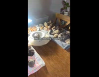 Woman shows friend rock collection 