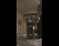 Fit Man Jumps High on Frog Stance 