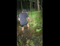 Man grab catch small alligator on pond