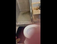 Drainage problem and dirty water in apartment shower