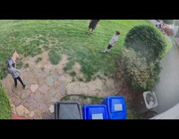 Boy falls down ground after tricking dog 