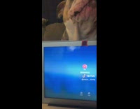 Collab BitchMP - Dog push closed womans laptop