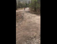 Boy ride bike and bump into sign