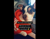 Dog wearing red sweater on bed winks 