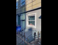 Crowd watching Sphynx cat sunbathing on apartment window