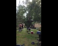 Drunk guy swings from tree branch, breaks and falls into grass lawn