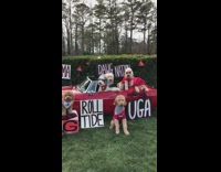 Roll Tide Georgia Alabama Dogs In Car