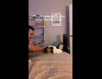 Collab Clips MPUGC - Guy annoys cat meow