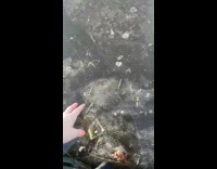 Girl steps in frozen water lake and ice breaks