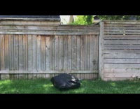 Guy front flip turn into human garbage