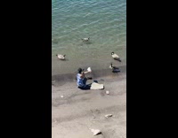 Guy take picture shoe at beach ducks