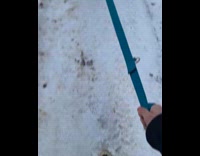 Dog drags its owner on icy sidewalk