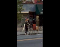 Man wearing unicorn mask and fox tail pushing shopping cart 