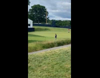 Man black jacket pose on grass field