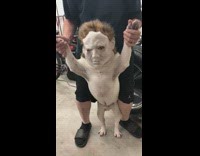 Guy holds up white dog with mask on