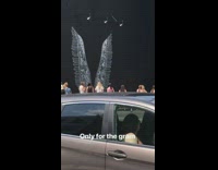 Long line for picture large white wings