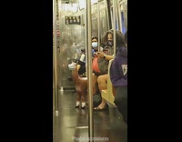 Brown llama alpaca statue face mask subway 