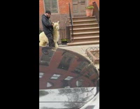 Man walking with alpaca on the sidewalk