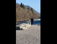 Woman black top dances at windy beach