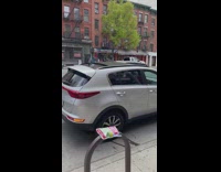 Frozen Bag of Edamame Lays on Bike Rack 