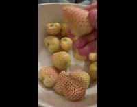 White colored strawberries on the bowl