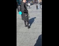 Puppy walking with bat wings