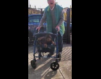 Grandpa pushes walker with puppy on it