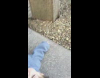 Kangaroo knocks baby over