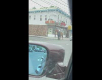 Man helps horse cross street