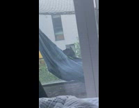 Black cat lay on hammock at balcony