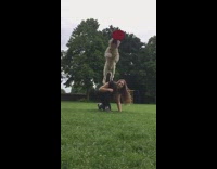 White dog jumps on owners back and catches red frisbee