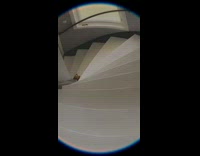 Grey cat runs up stairs meows girl 