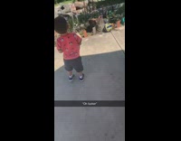 Little kid scared of jack in the box throws it