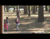 Woman violet leggings tiktok dance tree park