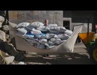 Man filled hammock with bags of salt