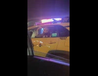 Girl yells donald trump yellow taxi car