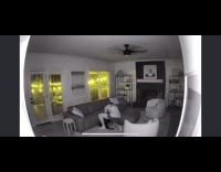 Dog lifted and carried by the man