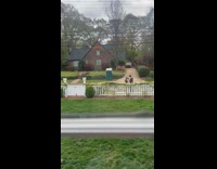 Collab IITW - Kid tells mother that the couple outside makes tiktok