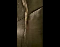 Beautiful scenic drive out of tunnel