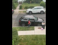 Collab winy - Boy pick up dead pigeon on street