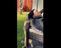 Orange cat rub head on woman hair