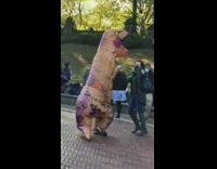 Brown dinosaur costume lady salsa dance park