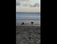 Woman in red bikini lie down sideways at the beach