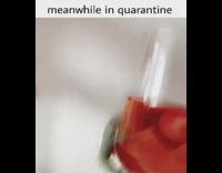 Green lizard iguana jumps onto wine glass 