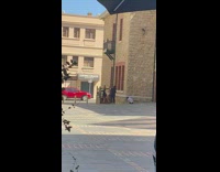 young girl black dress steps red car 