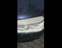 Wild marten weasel inside the car hood