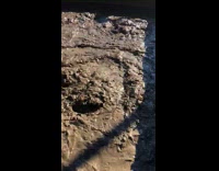 Wastewater of the city on a waste management facility